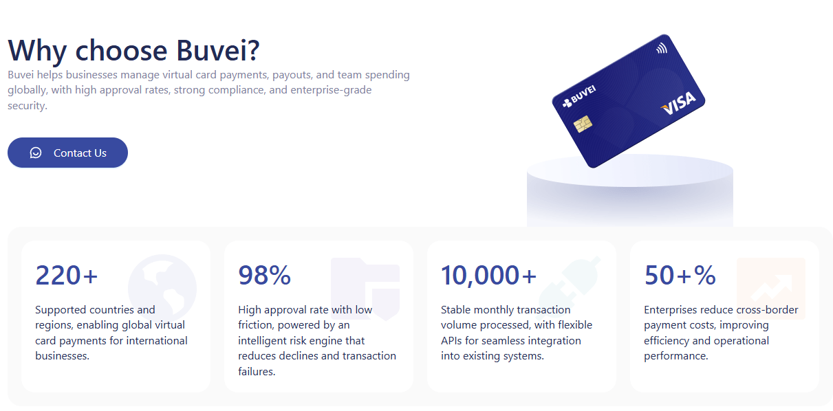 Buvei ecosystem of payment and connectivity services